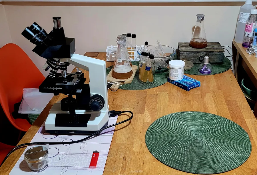 A trinocular microscope on a dining table beside starter flasks, a rack of slant tubes, a jar of pipettes and hand-written notes