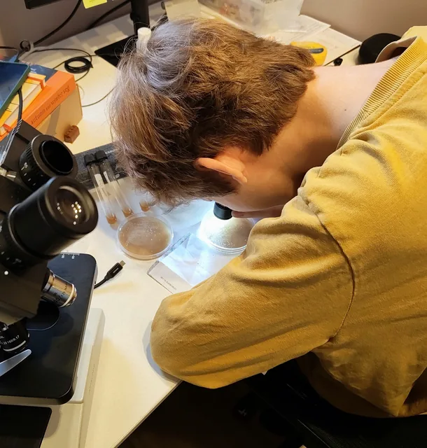 Someone seen from behind at a bench, head down over a petri dish under a lamp, with a microscope and a rack of tubes beside them