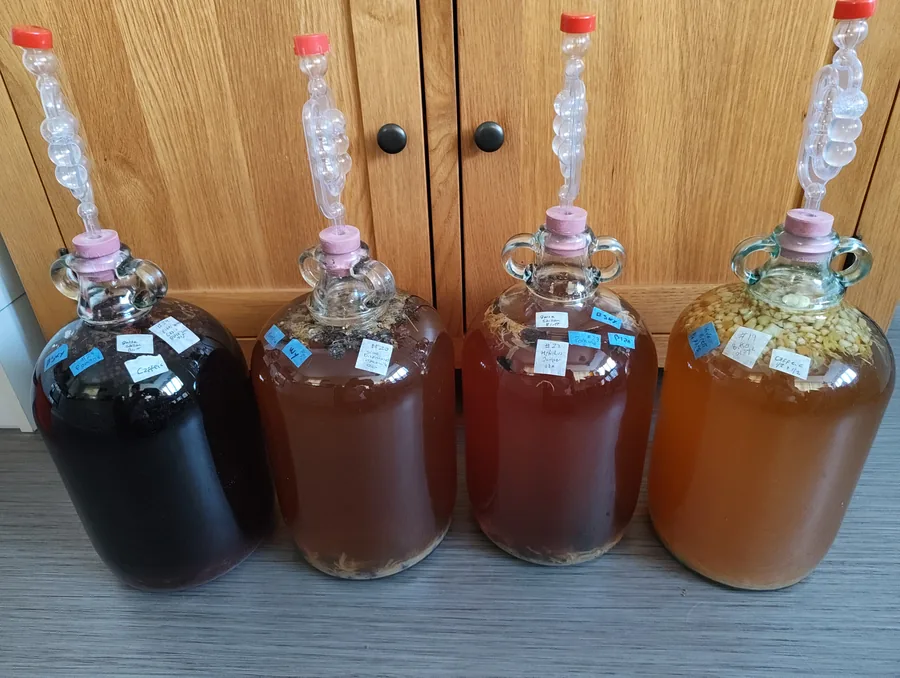 Four 5 L glass demijohns side by side under airlocks, ranging from near-black through deep brown and red-brown to pale gold, each neck carrying a stack of hand-written labels