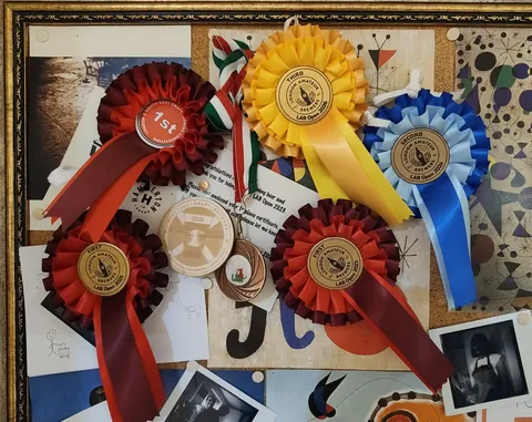 Six competition rosettes and two medals pinned to a cork board: London Amateur Brewers LAB Open first places 2023 and 2025, second 2024 and third 2026, a London and South East Craft Brewing Competition first, a Scottish Craft Brewers 2026 first-place wooden medal and a bronze medal