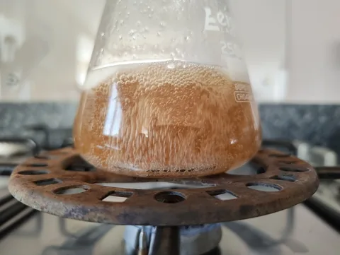 Erlenmeyer flask of agar wort boiling on a gas hob, covered in fine bubbles