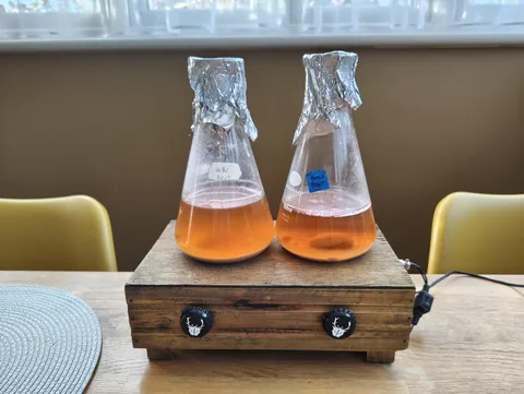 Two foil-capped Erlenmeyer flasks of wort on a wooden stir plate