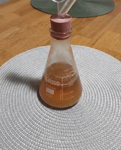 250 mL Erlenmeyer flask of amber beer fermenting under a bung and airlock