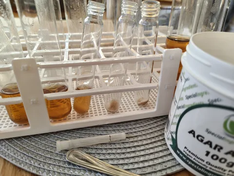 Rack of test tubes being filled with wort, a marked syringe cap and a spatula in front of a tub of agar