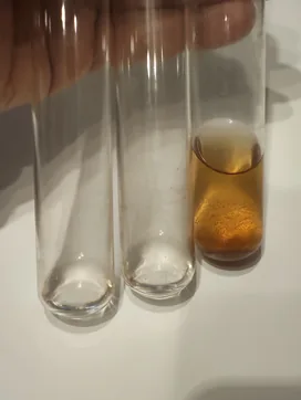 Three test tubes held in a hand, two with clear water and one with amber wort